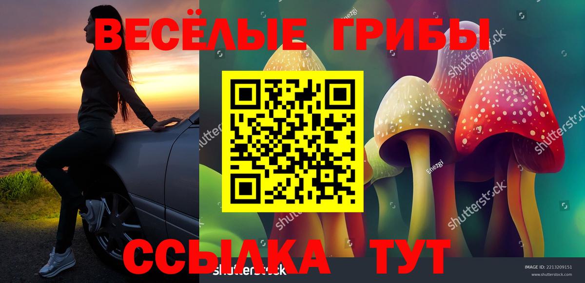 Псилоцибиновые грибы GOLDEN TEACHER  Вход с VPN  Карачаевск 